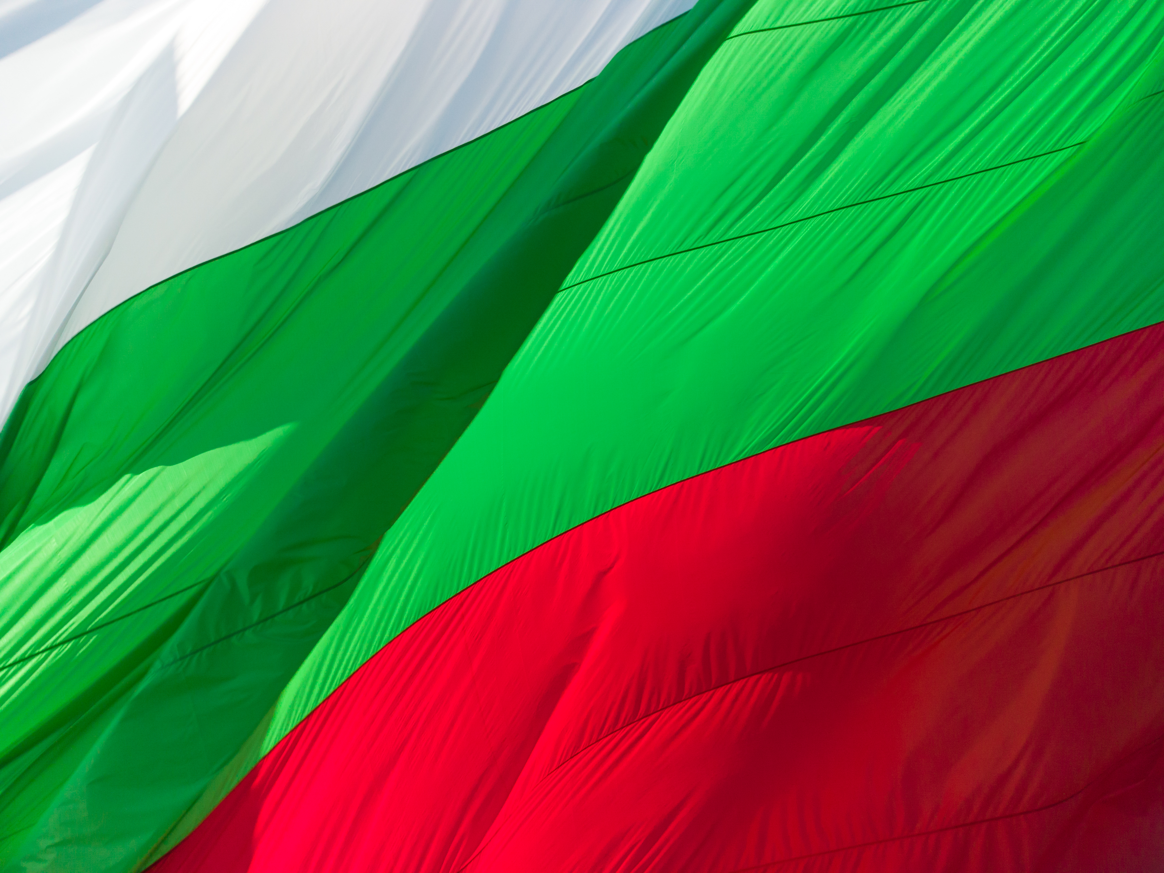 Bulgarian Football Union moves to ban betting by football personnel