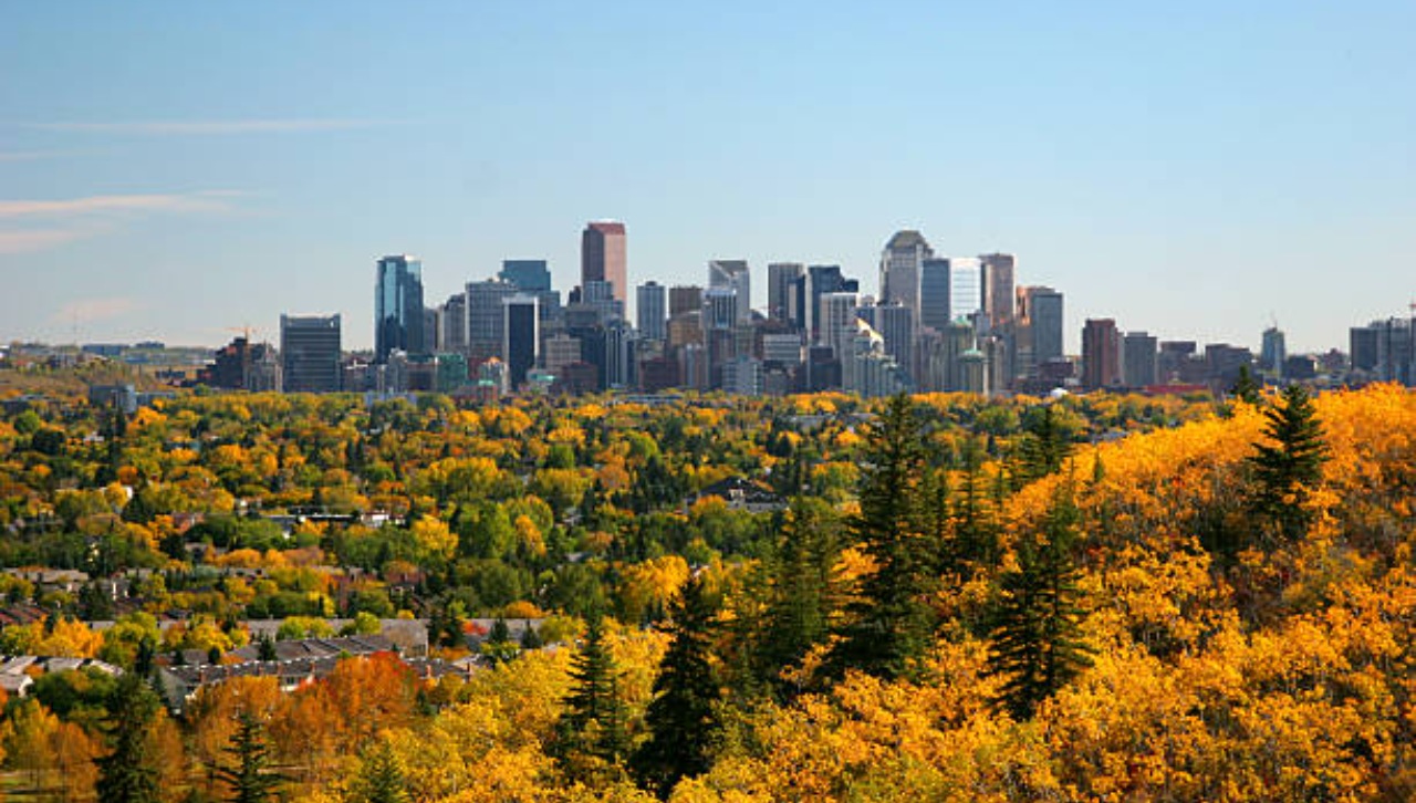 Entain granted Alberta licensing, transitions Sports Interaction and PartyCasino to new market