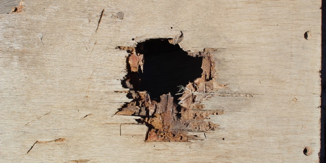 Estonia adopts rapid-fire changes to fix iGaming tax loophole