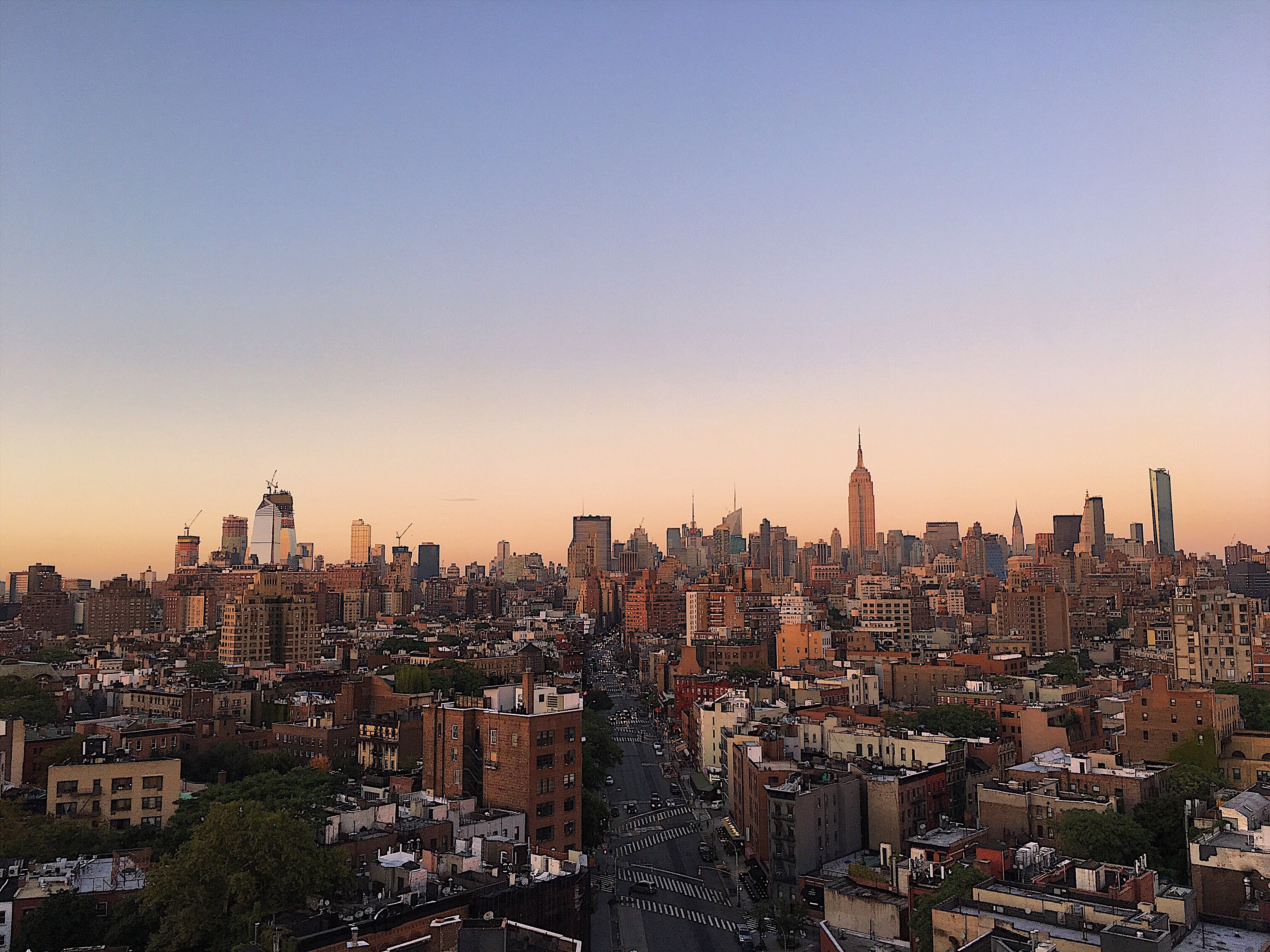 New York launches decade-long gambling behaviour study as oversight expands