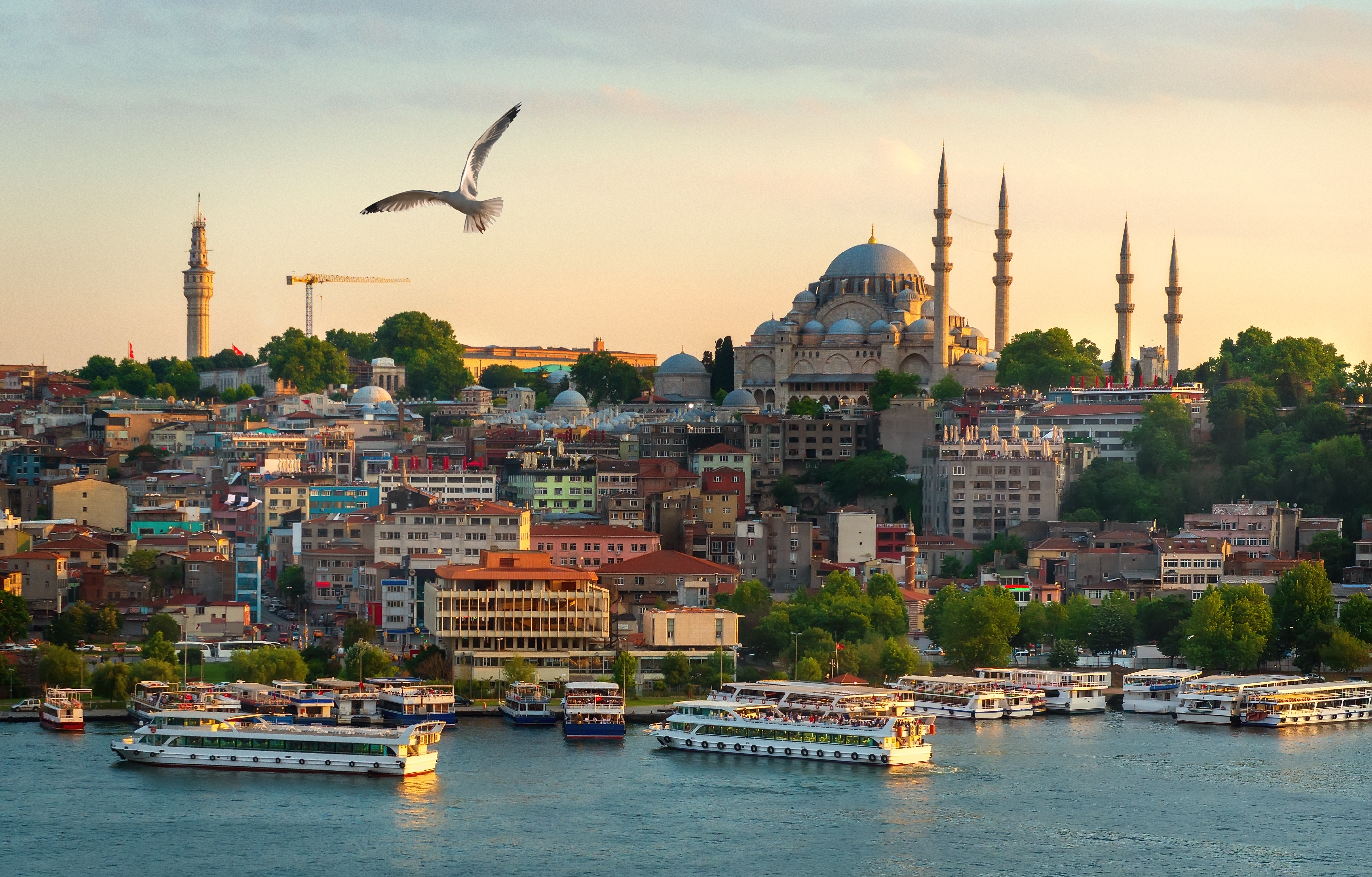 Turkey targets $526m illegal gambling network across 14 provinces